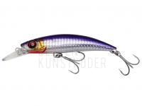 Meeresköder Savage Gear Gravity Runner 10cm 37g Fast Sinking - Bloody Anchovy PHP BESTEN KUNSTKODER Angelshop