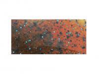 Gummiköder Tiemco PDL Locoism Flexy Shad 3.5 inch | Shrimp Flavor - 133 BESTEN KUNSTKODER Angelshop