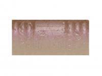 Gummiköder Tiemco PDL Locoism Flexy Shad 3.5 inch | Shrimp Flavor - 226 BESTEN KUNSTKODER Angelshop