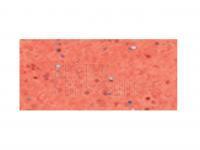 Gummifisch Tiemco PDL Locoism LinkIn Shad 3 inch | Shrimp Flavor - 156 Non-Salty BESTEN KUNSTKODER Angelshop