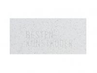 Gummifisch Tiemco PDL Locoism LinkIn Swimmer 3 inch | Shrimp Flavor - 172 Non-Salty BESTEN KUNSTKODER Angelshop