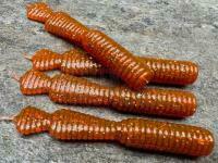 Gummifische Great Fish GF2 Leech 60mm 1.8g - no scent - motor oil red BESTEN KUNSTKODER Angelshop