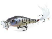 Molix Shaman Popper