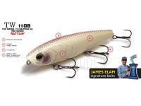 Molix Oberflächenköder Top Water 110 Baitfish Super Sound TW 110B BESTEN KUNSTKODER Angelshop