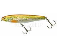 Illex Stickbaits Water Monitor 95