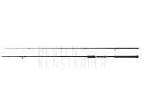 Rute Shimano Salty Advance Spinning 2.90m 60-80g