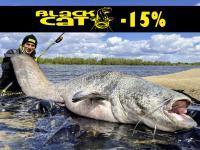 -15 % Rabatt auf Black Cat, Quantum und DAM! Rollen Shimano Stella FK fast 30% RABATT!