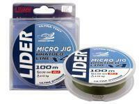 Geflechtschnur Fishing Empire Lider Micro Jig X4 100m green - 0.06mm BESTEN KUNSTKODER Angelshop