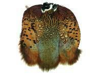 Ringneck Pheasant Skin - Natural, Cock BESTEN KUNSTKODER Angelshop