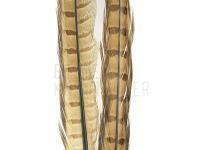 Ringneck Tail Feathers - 027 Bleached Ginger BESTEN KUNSTKODER Angelshop