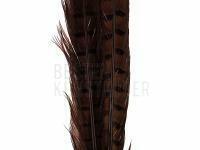 Ringneck Tail Feathers - 037 Chocolate Brown BESTEN KUNSTKODER Angelshop