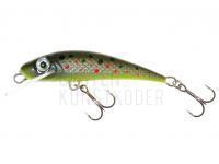 Forellenwobbler River Custom Baits Fury 5 cm 4g - T022 BESTEN KUNSTKODER Angelshop