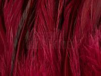 Rooster Saddle Feather - Claret BESTEN KUNSTKODER Angelshop