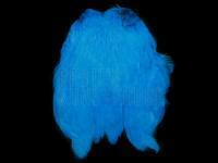 Wapsi Salmon Hen Neck - kingfisher blue BESTEN KUNSTKODER Angelshop