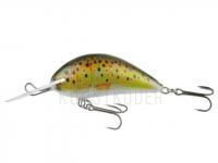 Wobbler Kenart Shark 5cm T BESTEN KUNSTKODER Angelshop