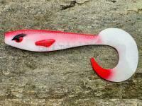 Shimano, Favorite, Great Fish