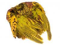 Wapsi Pheasant Skin BESTEN KUNSTKODER Angelshop