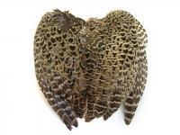 Pheasant hen - whole wings BESTEN KUNSTKODER Angelshop