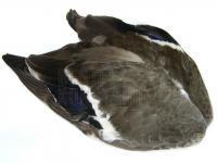 Mallard Duck - whole wings BESTEN KUNSTKODER Angelshop