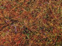 Dubbing Spirit River UV2 Diamond Brite - Rootbeer BESTEN KUNSTKODER Angelshop