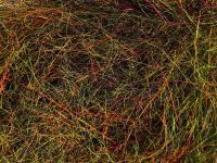 Spirit River UV2 Fusion Seal-X Ice Dubbing - Fire Tiger BESTEN KUNSTKODER Angelshop