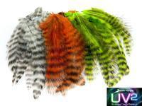 Spirit River UV2 Grizzly Soft Hackles Federn BESTEN KUNSTKODER Angelshop