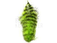 Spirit River UV2 Grizzly Soft Hackles - Chartreuse BESTEN KUNSTKODER Angelshop