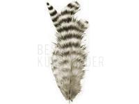 Spirit River UV2 Grizzly Soft Hackles - Natural
