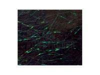 Starlite Dubbing - Dark Green BESTEN KUNSTKODER Angelshop