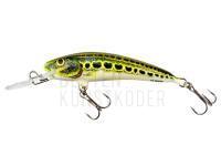 Wobbler Dorado Stick 5.5cm Floating - CT BESTEN KUNSTKODER Angelshop