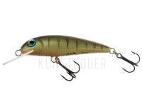 Wobbler Wob-Art Strzebla (Common minnow) 6cm 4g MF DR - 07 BESTEN KUNSTKODER Angelshop