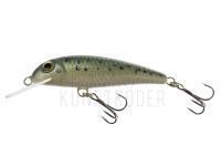 Wobbler Wob-Art Strzebla (Common minnow) 6cm 4g MF DR - 21 BESTEN KUNSTKODER Angelshop