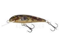Wobbler Wob-Art Strzebla (Common minnow) 6cm 4g MF DR - 39 BESTEN KUNSTKODER Angelshop