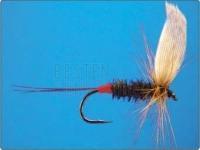 Wizard Andrzej Zasadzki Trockenfliegen Dry flies (barded) BESTEN KUNSTKODER Angelshop