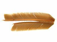 Turkey Biot Quills - Dark Tan BESTEN KUNSTKODER Angelshop