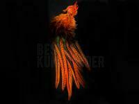 UV2 Coq De Leon Perdigon Fire Tail Feathers - #137 Fl Orange BESTEN KUNSTKODER Angelshop