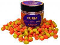 Osmo Mini Larwa Wafters – Furia Dual BESTEN KUNSTKODER Angelshop