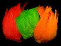 Wapsi Neck Hackle Strung Federn BESTEN KUNSTKODER Angelshop