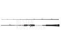 Penn Prevail III Jigging Cast