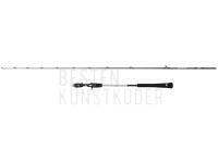 Penn Prevail III Light Jigging Cast