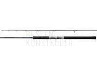 Rute Shimano Salty Advance Spinning 3.05m 10'0" 60g JIG80g 2pc BESTEN KUNSTKODER Angelshop