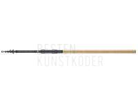 Daiwa Ruten Ninja X Tele Carp