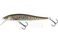 Westin Jerkbite SR 7.5cm 5g Suspending - Brown Trout Fry BESTEN KUNSTKODER Angelshop