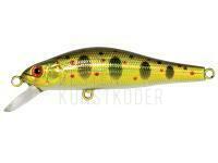 Wobbler Adam's Jerkbait 50 SP SR | 50mm 3g - HG Gold Amago BESTEN KUNSTKODER Angelshop