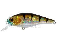 Wobbler Adam's Shiner 62 SP SR | 62mm 7.4g - European Perch BESTEN KUNSTKODER Angelshop