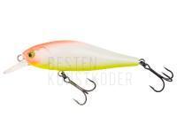 Wobbler Lucky John Anira 69SP - 908 Salmon Custom Series BESTEN KUNSTKODER Angelshop