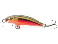 Wobbler Dorado Classic C-5 Floating RBD BESTEN KUNSTKODER Angelshop
