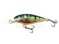 Dorado Invader I-5 Floating HP (Holographic)