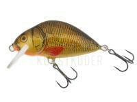 Wobbler Dorado Lake L-5 Floating BRXX