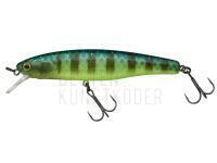 Wobbler Illex Arnaud 100 F | 10cm 16g - Secret Grass Gill BESTEN KUNSTKODER Angelshop